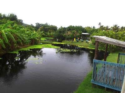 Jardin Exotique