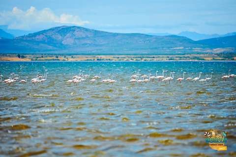 Lac Anony